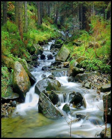 cascade d'une rivière
